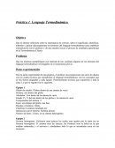 Práctica 1. Lenguaje Termodinámico.