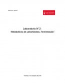 Laboratorio N°2: “Metabolismo de carbohidratos. Fermentación”