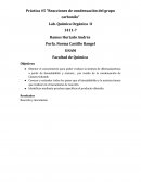 Reacciones de condensacion del grupo carbonilo