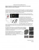 HERMANAMIENTO CON REORENTACION DE CELOSIA SIN UN PLANO DE HERMANAMIENTO CRISTALOGRAFICO