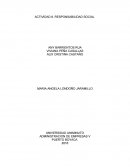 Actividad Responsabilidad social