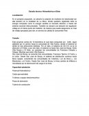 Estudio técnico Hidroeléctrica el Bote