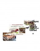 ANTECEDENTES Y ASPECTOS GENERALES.