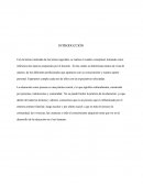 CUADRO CONCEPTUAL ACCIÓN PARTICIPATIVA.