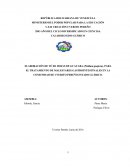 ELABORACIÓN DE TÉ DE HOJAS DE GUAYABA (Psidium guajava), PARA EL TRATAMIENTO DE MALESTARES GASTROINTESTINALES EN LA COMUNIDAD DE UVERITO PEREÑO ESTADO GUÁRICO.