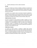 Desarrollo Del Plan De Accion.