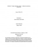 Momento 2: Trabajo colaborativo Unidad 1 - Análisis de sucesiones y progresiones.