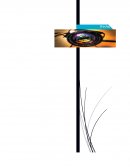 Los Derechos de autor.