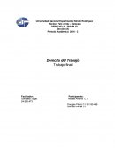 Periodo Académico: 2016 - 2 Derecho del Trabajo