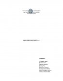 CASO BICKES ONLY SPORTS C.A.