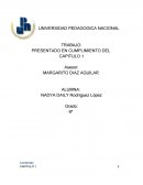 PRESENTADO EN CUMPLIMIENTO DEL CAPITULO 1
