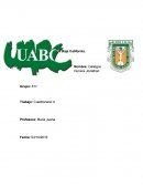 Trabajo: Cuestionario 4 Contabilidad