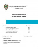 Reporte de bIologia.