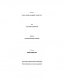 La Cara Sucia de las Cuidades.