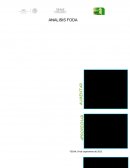 REDACCION DE LOS PROBLEMAS Y LAS ALTERNATIVAS.