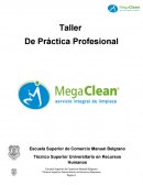 Taller de practica profesional.
