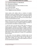 Trabajo: Ensayo de Lectura (Las 22 leyes inmutables de la marca).