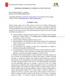 FISIOLOGIA SENSORIAL II: AUDICION, GUSTO Y OLFATO.