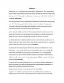 Aminoácidos polares y no polares.