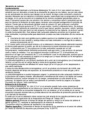 Monóxido de carbono.