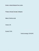 Teorias de la organizacion social.