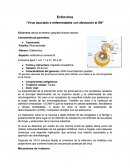 Echovirus “Virus asociado a enfermedades con afectación al SN”