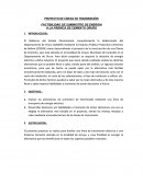 FACTIBILIDAD DE SUMINISTRO DE ENERGIA A LA FÁBRICA DE CEMENTO ORURO