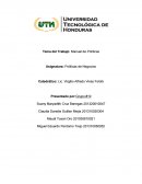 Tema del Trabajo: Manual de Políticas