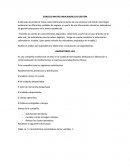 EJERCICIO MATRIZ INDICADORES DE GESTIÓN