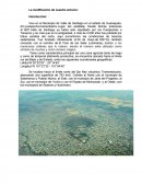 La modificación de nuestro entorno