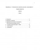 “DESARROLLO Y PROCESOS DE CONSTRUCCION DEL CONOCIMIENTO” UNIDAD 1.