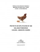 PROYECTO DE EXPLOTACIÓN DE 1000 GALLINAS PONEDORAS