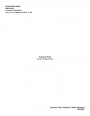 Proyecto Comercio electronico.