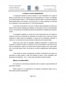 La basura, recurso desperdiciado