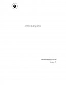 Salvaguardias en el peru.