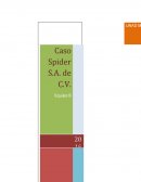 Caso Spider actividad.