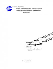 NÚCLEO APURE.. Página 1