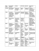 Cuadro resumido Redes sociales.