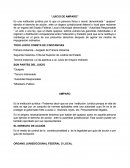 Juicio de amparo. Partes del juicio