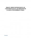 ENSAYO: BREVE EXPOSICION DE LAS CARATERISTICAS DE LOS PRINCIPIOS EN EL NUEVO PROCEDIMIENTO PENAL