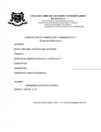 DERECHOS HUMANOS ARTICULO 1-ARTICULO 17. Página 1