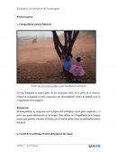 La sintaxis de la imagen.