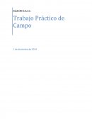 Informe empresa de ELACIN S.A.I.C.