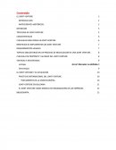 El Joint Venture. Opciones estratégicas