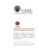 Lineamientos para la elaboración del Producto Integrador de Aprendizaje.