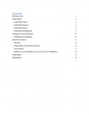 Chile Habanero (Capsicum chinense) es una de las cinco especies domesticadas de los chiles pertenece a la familia de las solanáceas