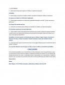 ¿Qué tipo de trayectoria siguieron el balón y la pelota de esponja?