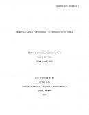 MARIPOSA FAMILIA: PAPILIONIDAE Y SU EXTINCIÓN EN COLOMBIA