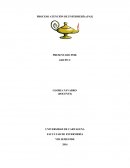 PROCESO ATENCIÓN DE ENFERMERÍA (PAE) . VISION DEL MUNDO