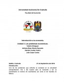 Los problemas económicos.La sobrepoblacion.